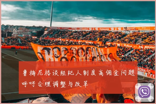 鲁梅尼格谈经纪人制度高佣金问题呼吁合理调整与改革