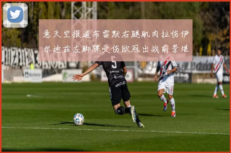 意天空报道布雷默右腿肌肉拉伤伊尔迪兹左脚踝受伤欧冠出战前景堪忧